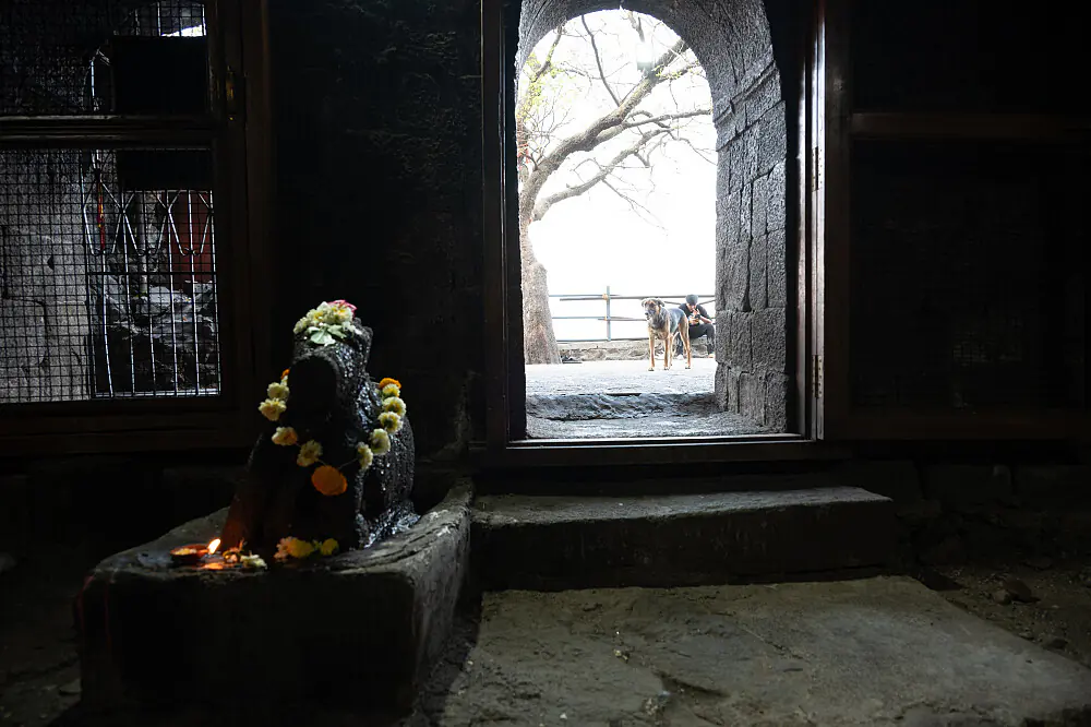 Sacred Heart Yoga & Ayurveda Wellness Retreat in Pune