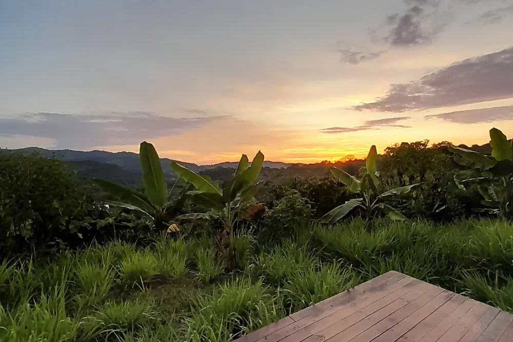5-Day Detox & Reset Wellness Retreat in Costa Rica's Diamante Valley