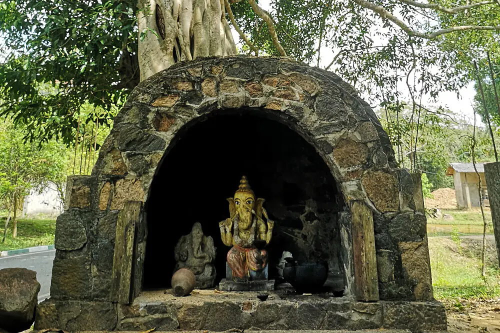 Private Yoga & Meditation Wellness Escape in Rural Sri Lanka