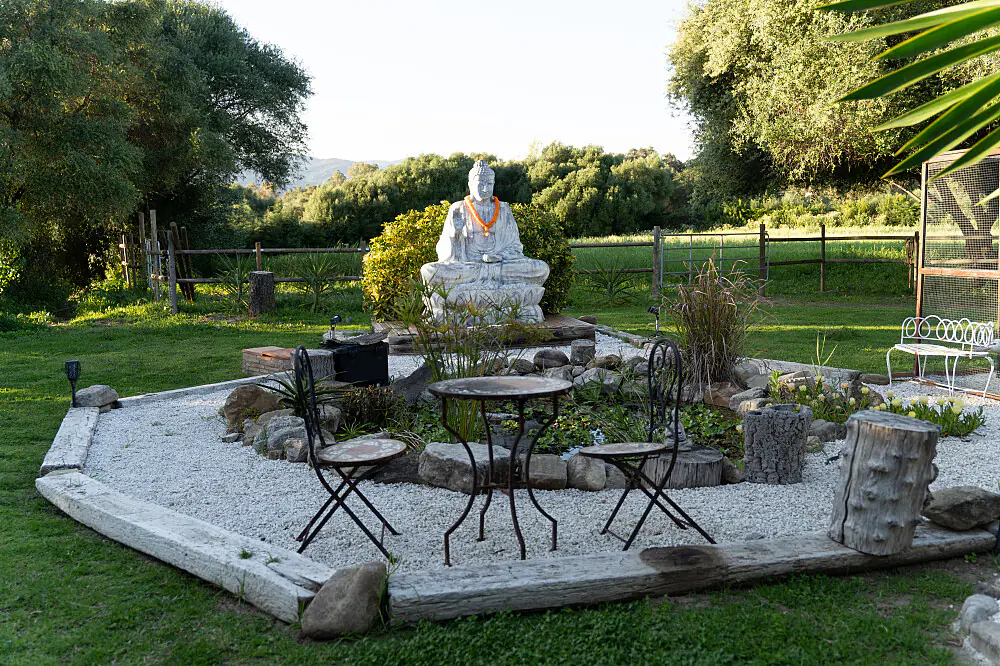 Serene Yoga Immersion in the Andalusian Mountains