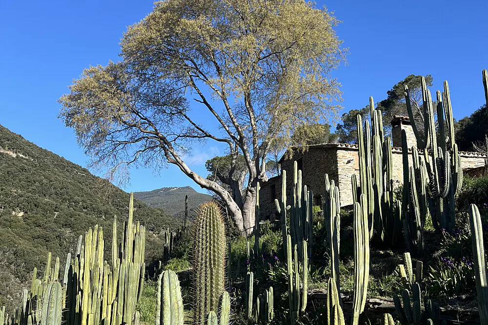 10 Day Medicine Silence Walk: 1-1 Mystical Rebirth Retreat, Spain