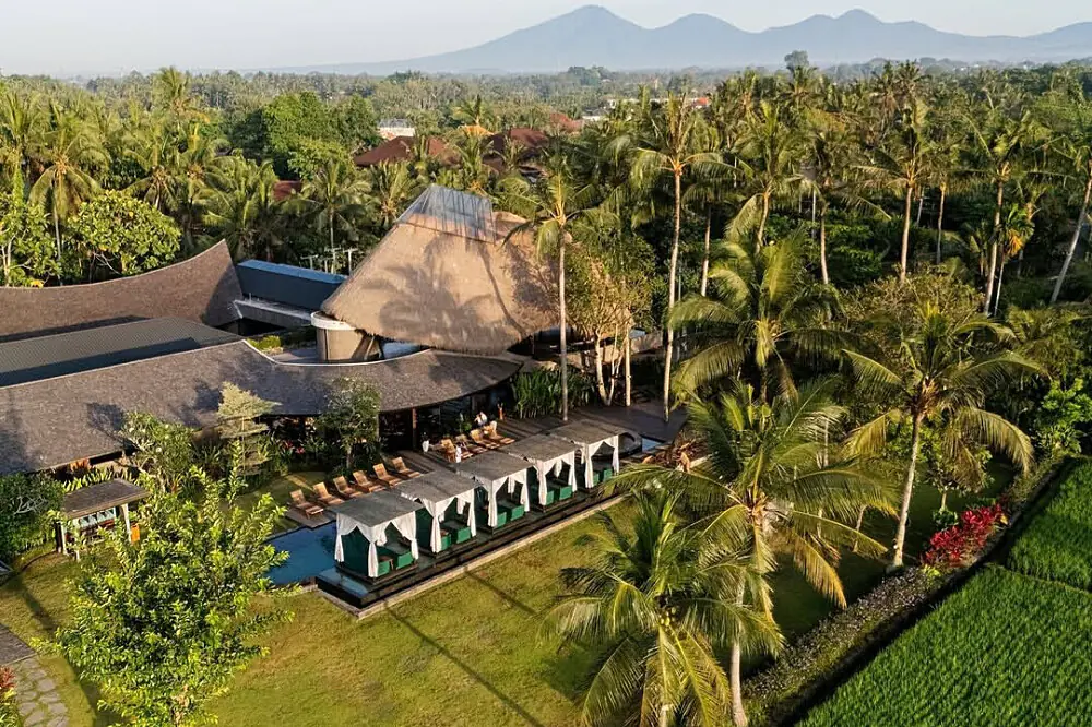 Wellness Reset: Six Days of Integrated Healing and Meditation in Ubud, Bali