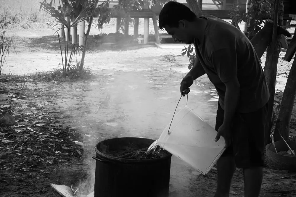Amazonian Wellness & Spiritual Transformation Retreat: 8 Sacred Ayahuasca Ceremonies in Peru