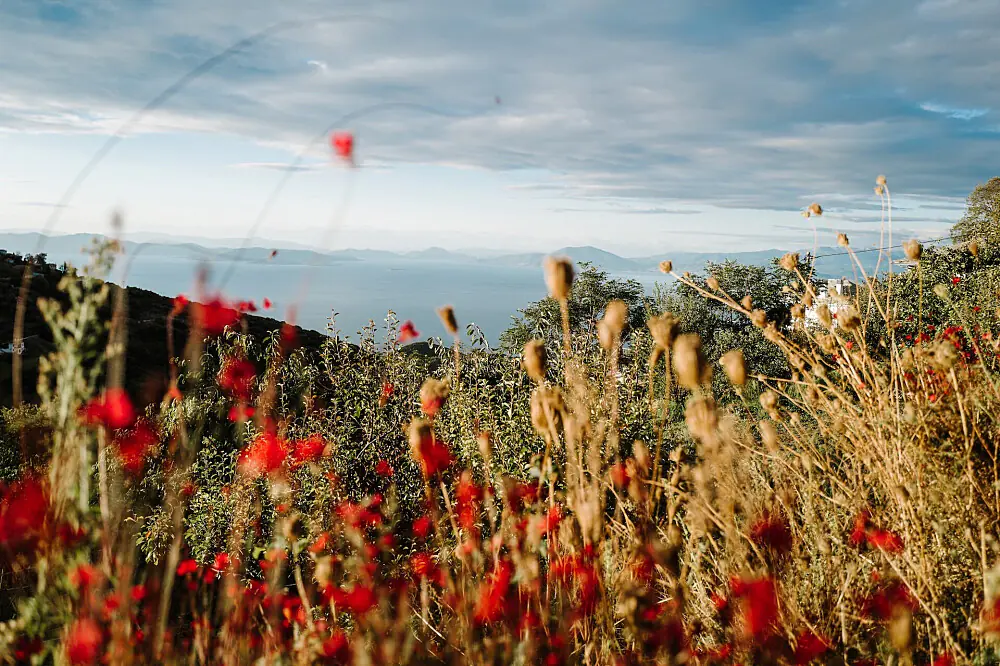 Autumn Yoga & Movement Retreat in the Mountains of Pelion, Greece
