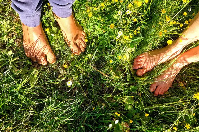 Wellness & Digital Detox Retreat in the Tuscan Hills