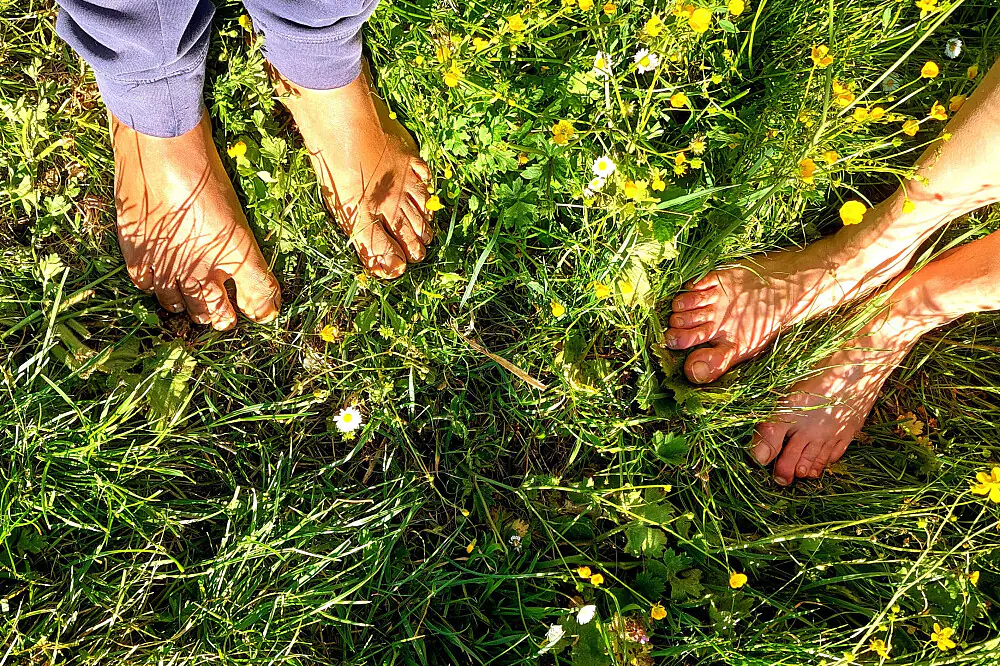 Wellness & Digital Detox Retreat in the Tuscan Hills