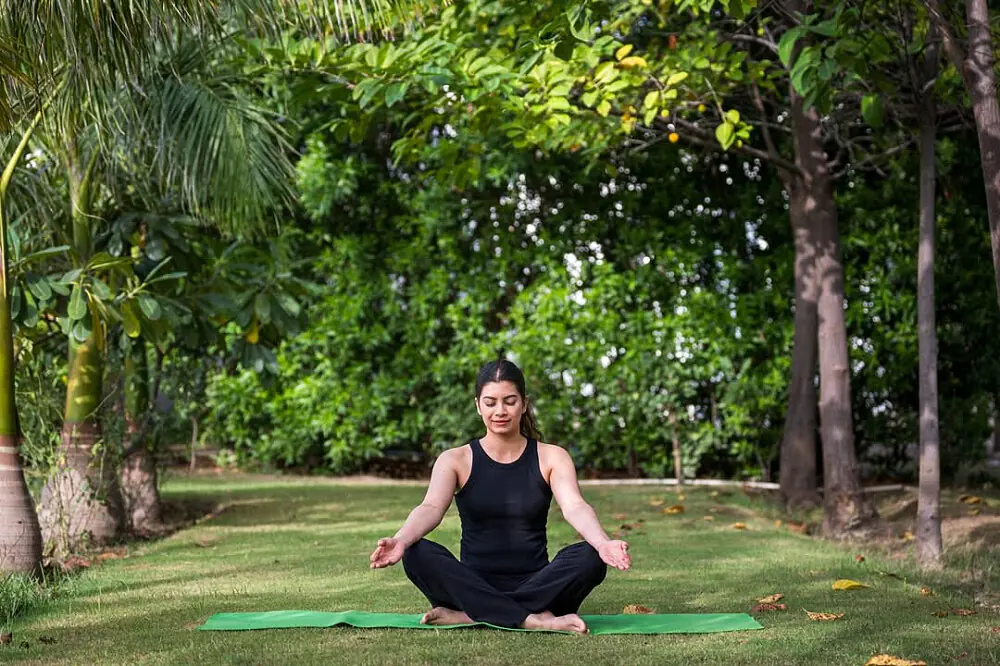 Rajasthan Wildlife & Wellness Escape with Safari and Spa