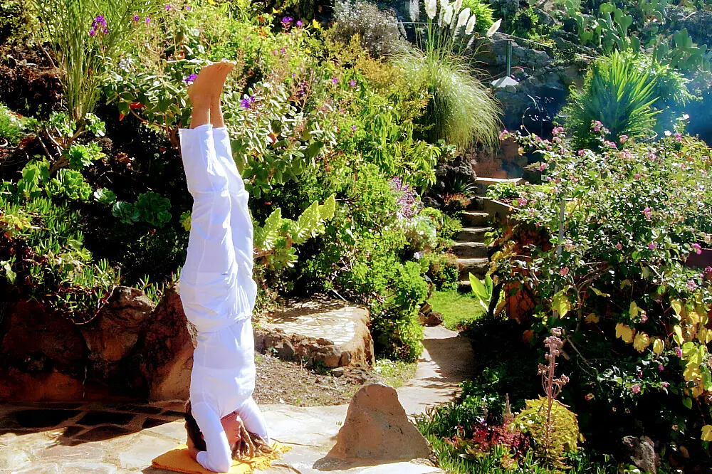 8 Day Cleansing & Yoga with Vidyamor
