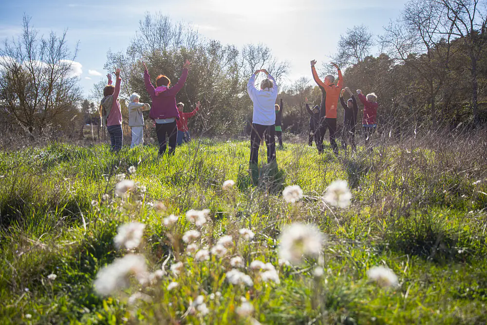 Personalized Yoga and Qi Gong Wellness Retreat in the French Countryside
