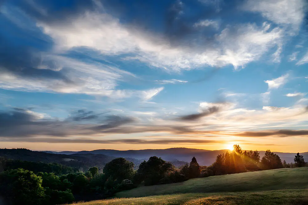 3-Day Sierra Nevada Yoga & Meditation Retreat with Forest Bathing
