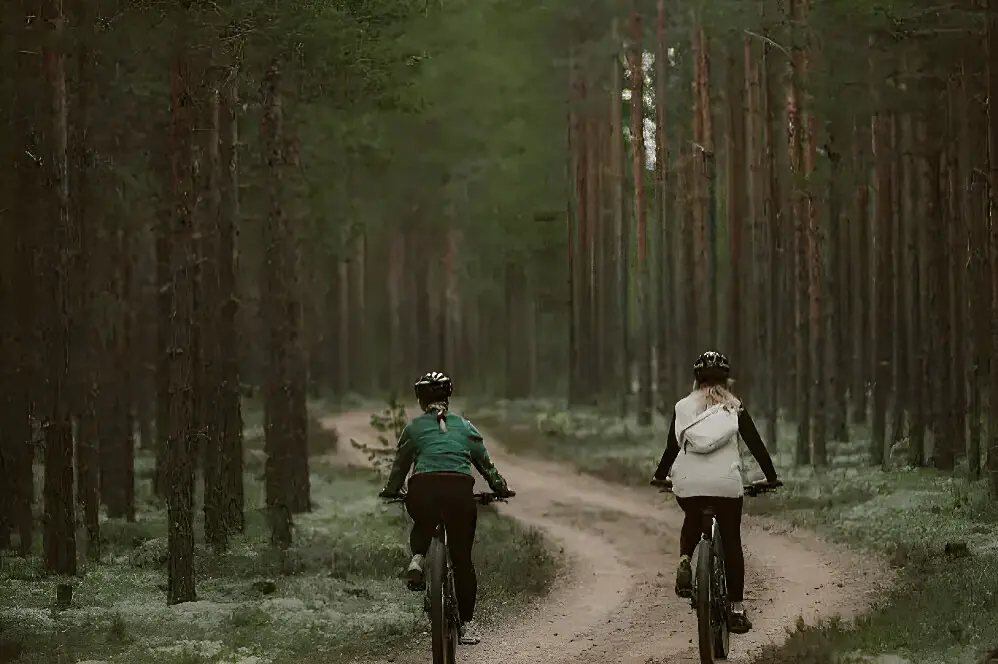 Self-Guided Wellness Escape in the Swedish Forest