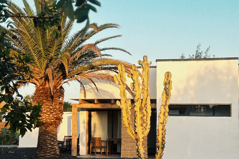 Christmas Wellness Escape: Holistic Yoga & Sound Healing in Fuerteventura
