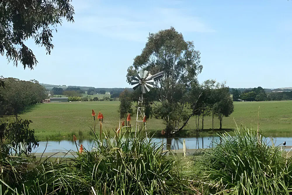Countryside Wellness Retreat with Yoga, Cooking and Massage in Victoria