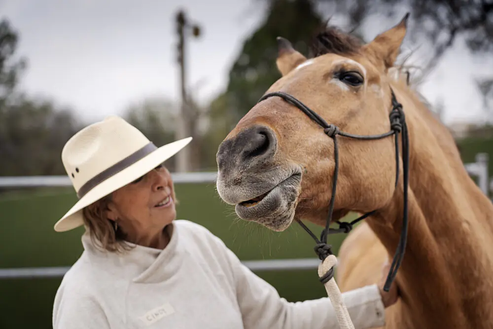 Horse Wisdom & Inner Clarity: A 6-Day Equine Wellness Journey in Mexico