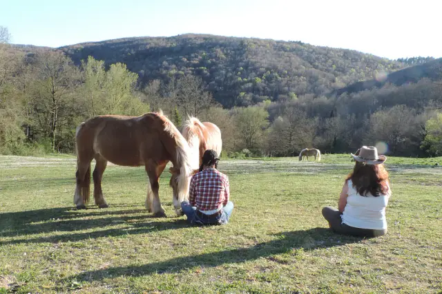 8-Day Yoga and Horsemanship Course in Tuscany