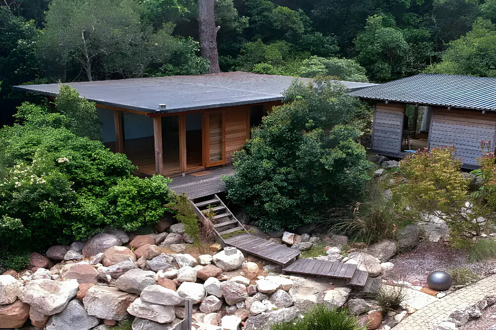 200-Hour Yoga Teacher Training and Wellness Escape in Cape Town's Indigenous Forest