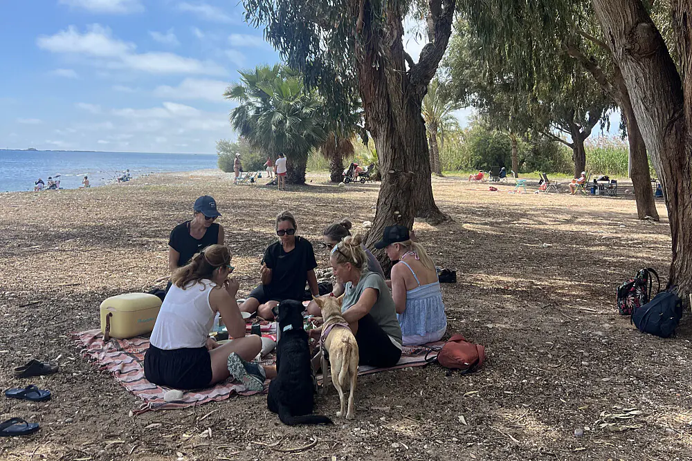 Yoga, Hiking & Seafood Wellness Escape in Alicante, Spain