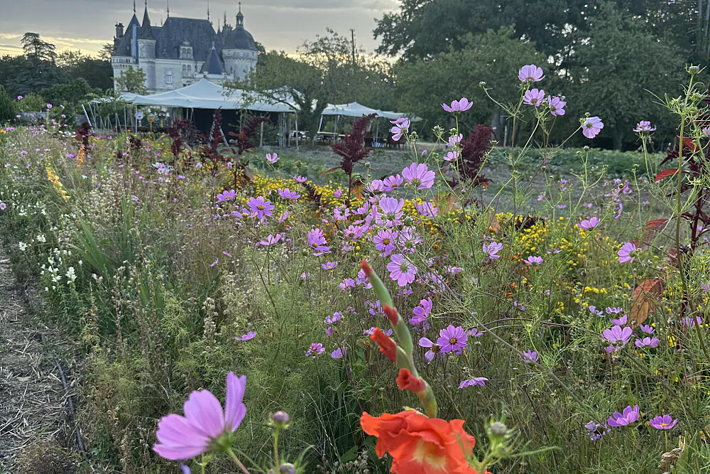 Silent Wellness Escape in the French Countryside