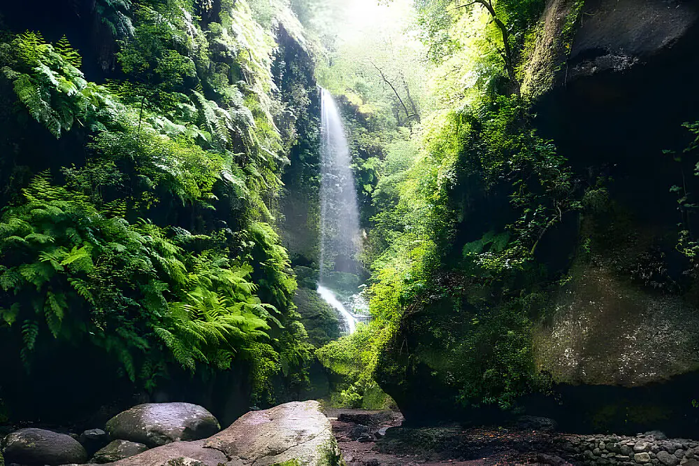 Women's Reset Retreat on La Palma: Hiking, Personal Training & Mindset in the Canaries
