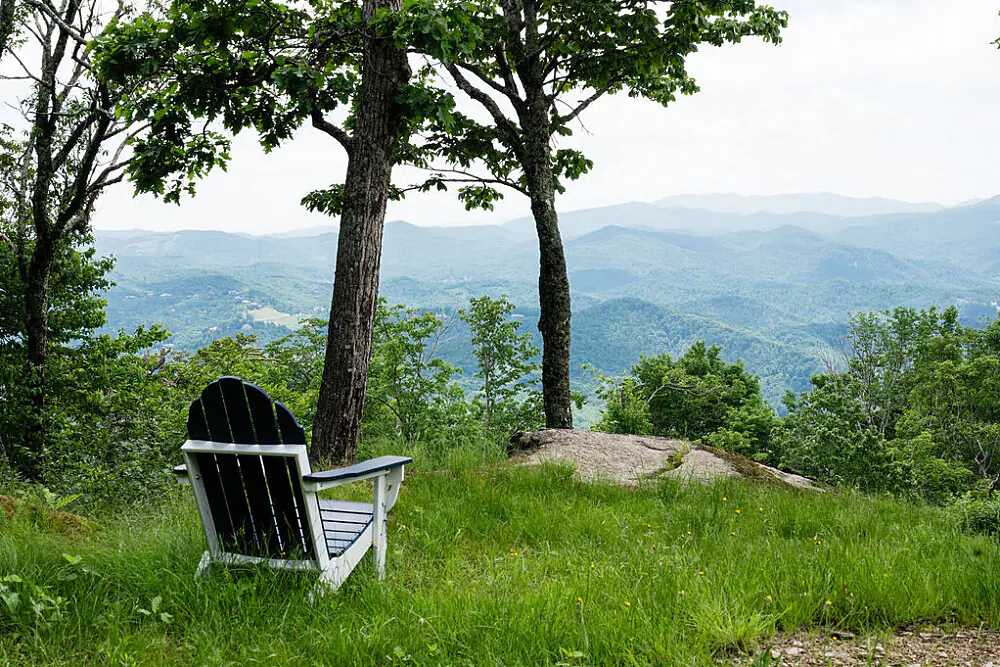 Nervous System Reset: Women's Wellness Escape in the Blue Ridge Mountains