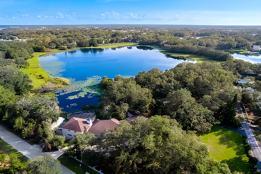 Wellness and Weight Loss Retreat in Tampa Bay, Florida