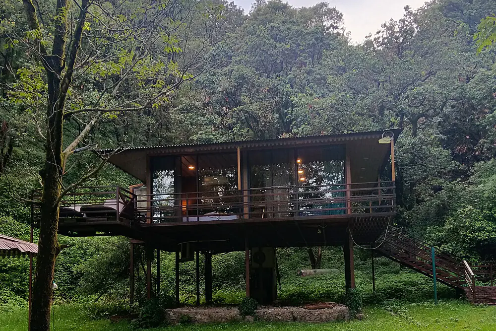 5 Day Sacred Return: A Silent Forest Retreat in Mussoorie, India