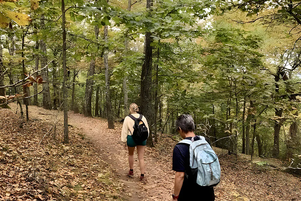 Private Beginner Yoga Immersion Retreat in the Blue Ridge Foothills