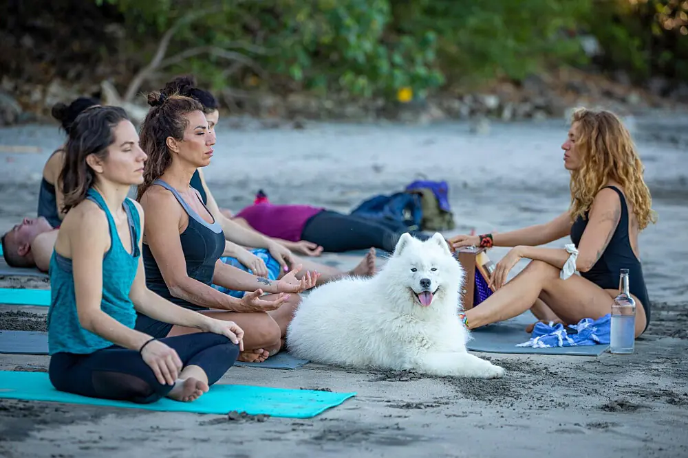 8 Day Conscious Connected Breathwork Certification Retreat in Costa Rica's Caribbean Jungle