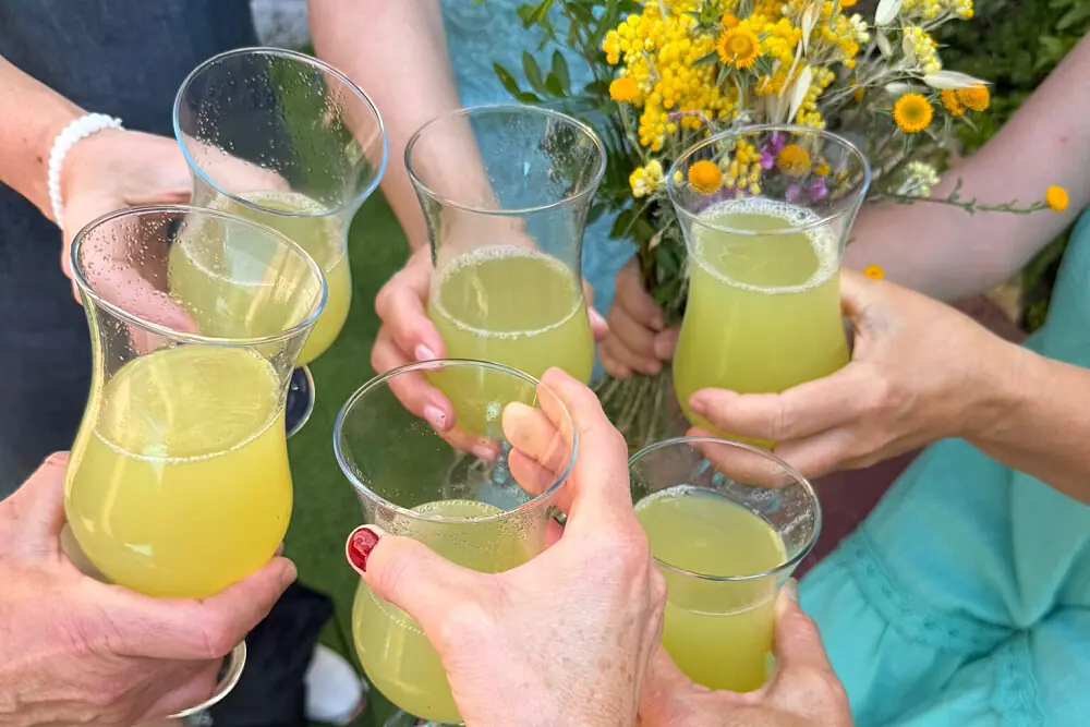 Conscious Juice Detox and Wellness Retreat in Catalonia