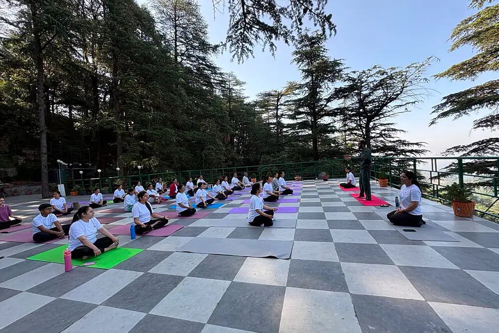 5 Day Himalayan Wellness and Yoga Retreat in Shimla, India