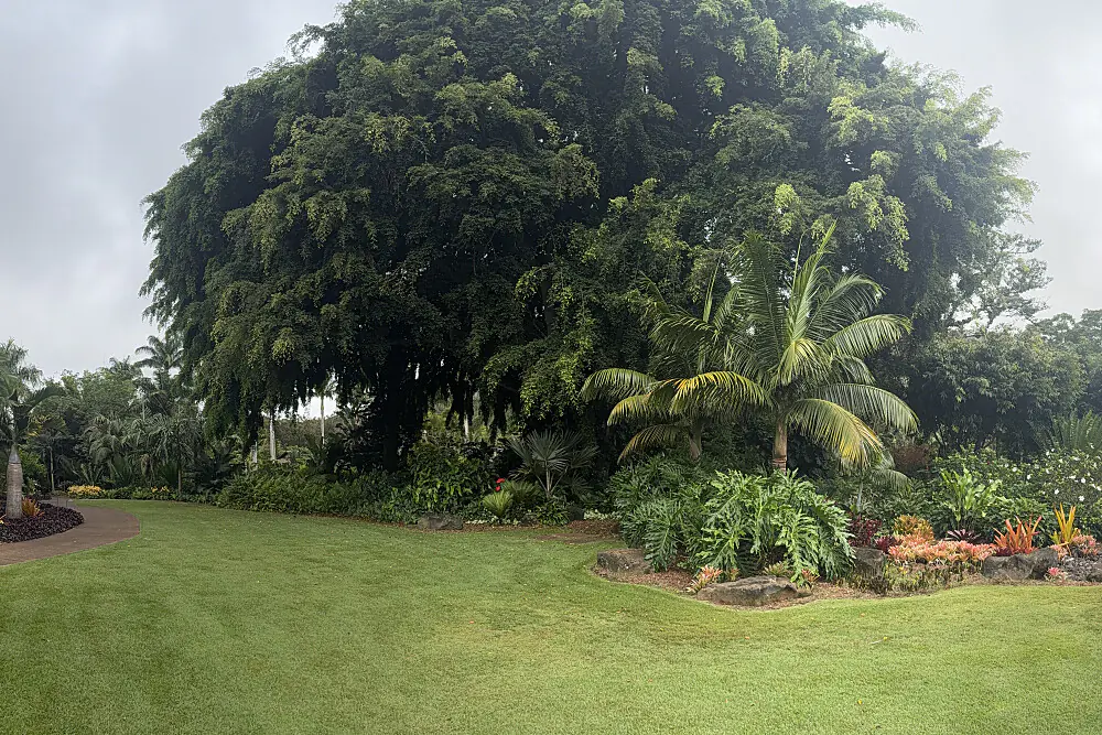 Fertility Healing and Wellness Retreat in Maui, Hawaii