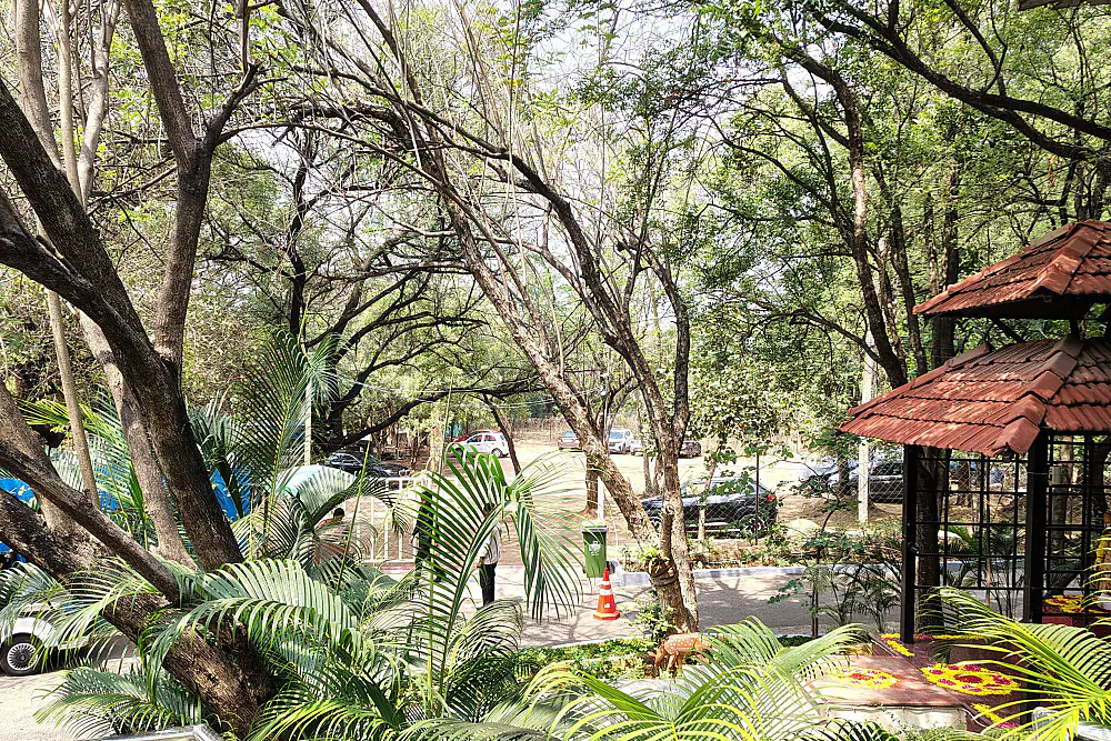 SOMA Breathwork and Tibetan Somatic Healing: 4 Days Near Hyderabad