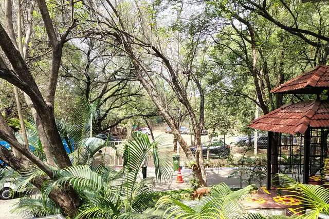 SOMA Breathwork and Tibetan Somatic Healing: 4 Days Near Hyderabad