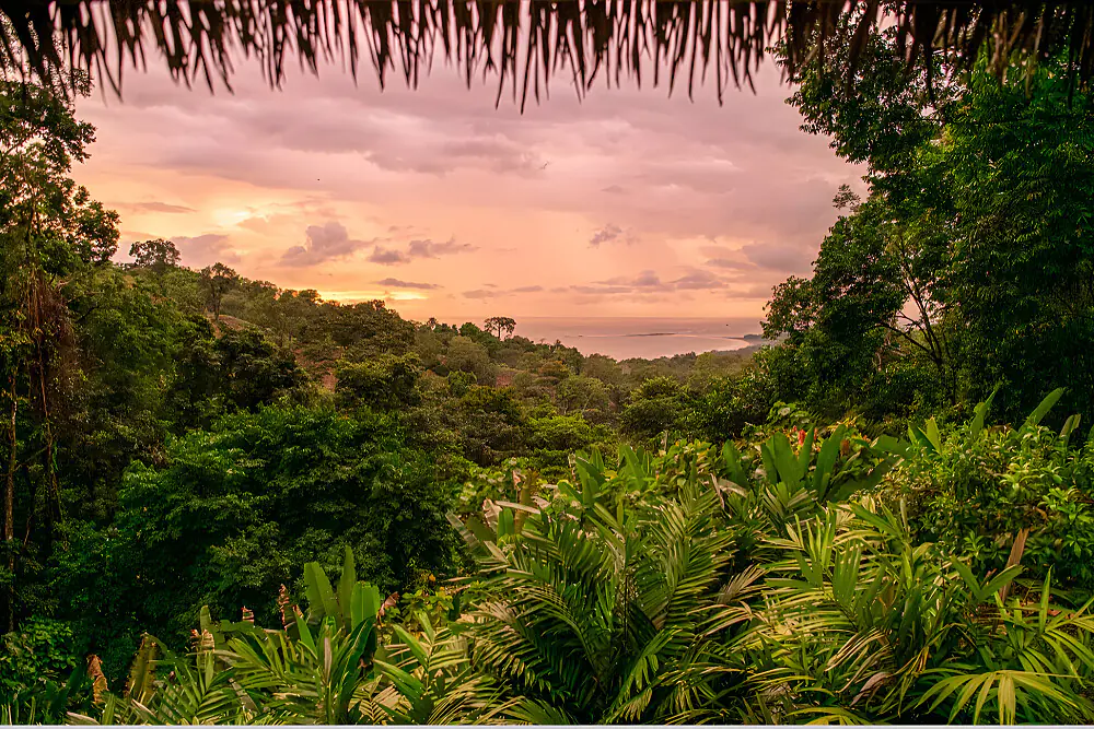 Men's Surf, Breathwork & Jungle Adventure Retreat in Costa Rica