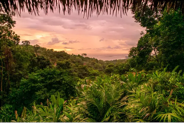 Men's Surf, Breathwork & Jungle Adventure Retreat in Costa Rica