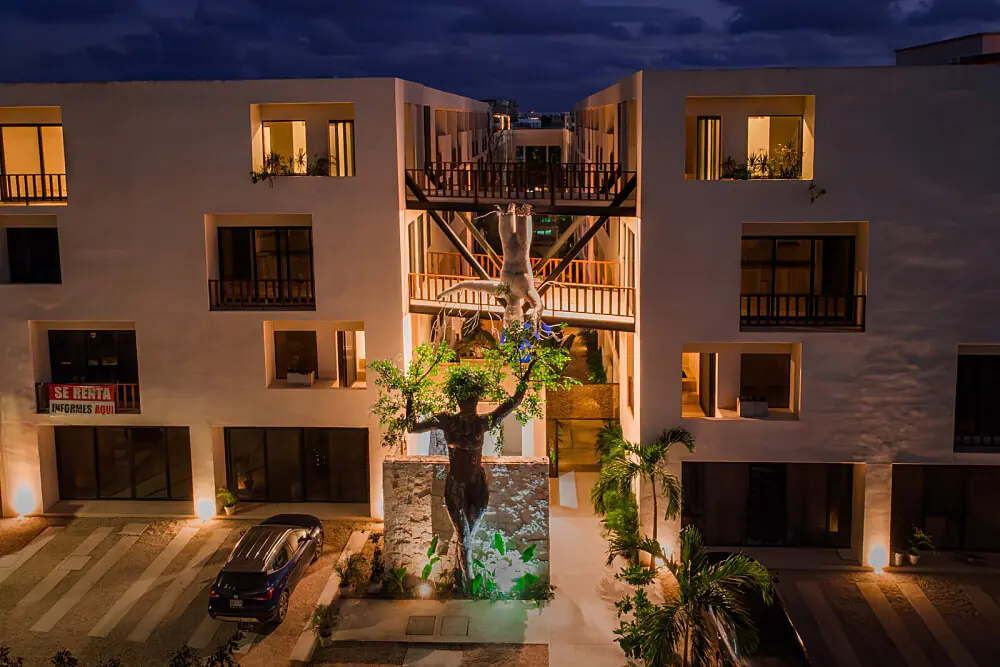 Cacao & Wellness Escape: A Private Couples Retreat in Tulum