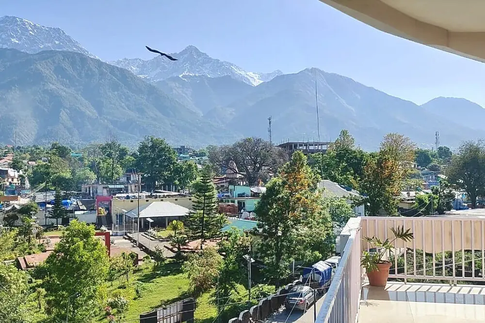 3-Day Ayurvedic Wellness & Yoga Retreat in the Himalayan Foothills