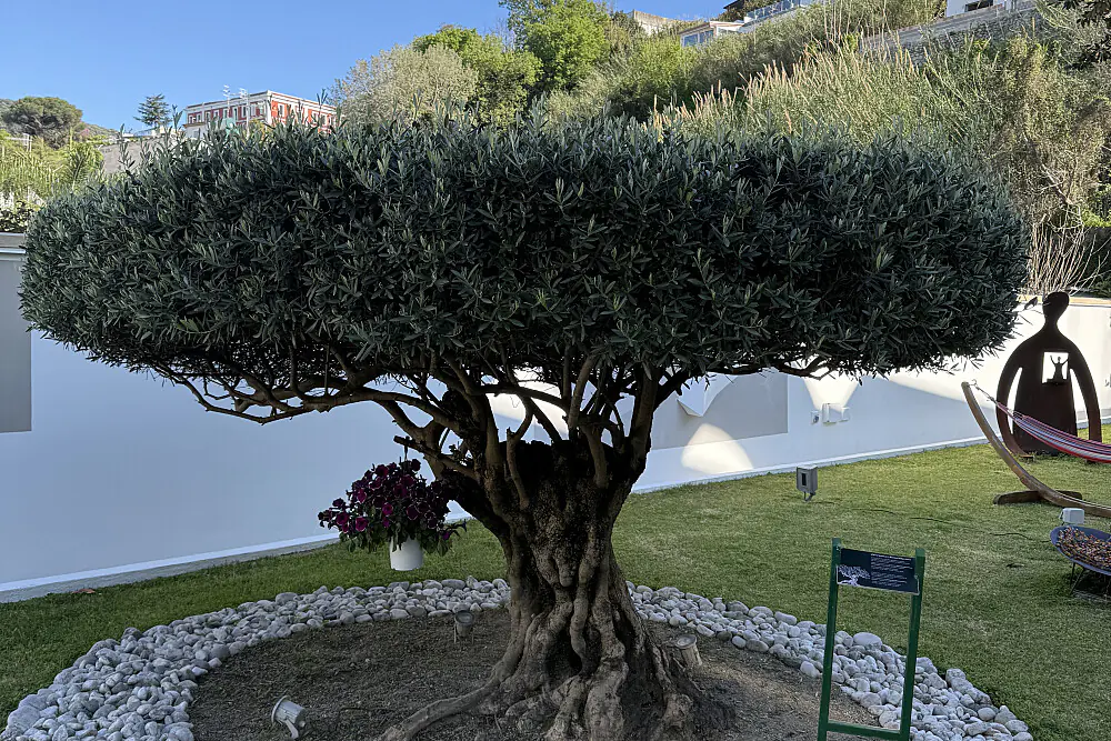 Pilates & Wellness Retreat in Ischia
