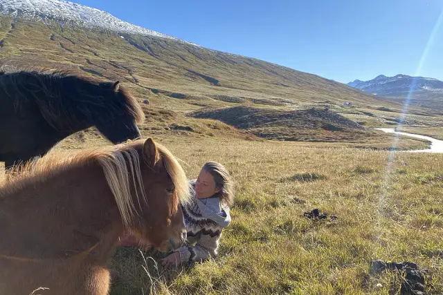 Icelandic Horse & Nature Wellness Retreat: Reconnect with Your Truth