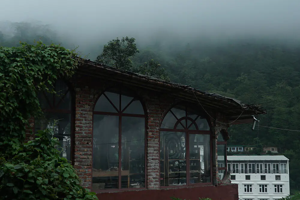 Monsoon Wellness & Creativity Escape in the Himalayan Foothills