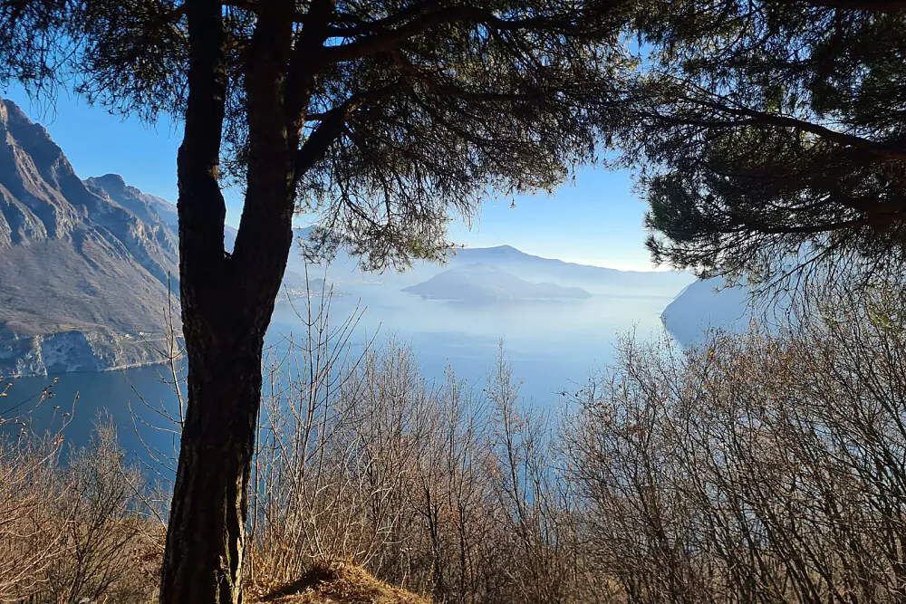 Private Metabolic Reset & Wellness Immersion on Lake Iseo