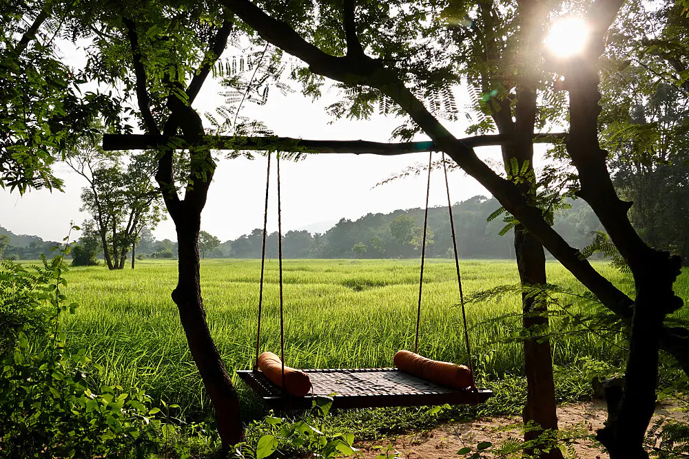 8 Day Jungle Wellness Escape: Original Yoga and Ayurveda Retreat in Sri Lanka