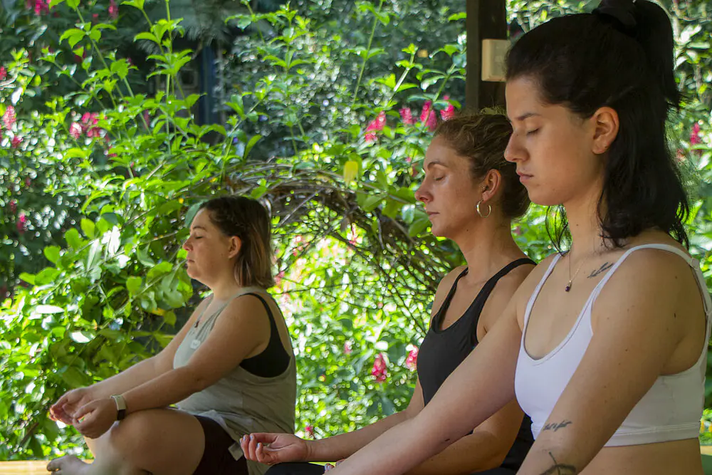 Amazon Detox & Deep Renewal Retreat in Ecuador: 8 Days of Plant-Based Cleansing, Temazcal and Rainforest Spa