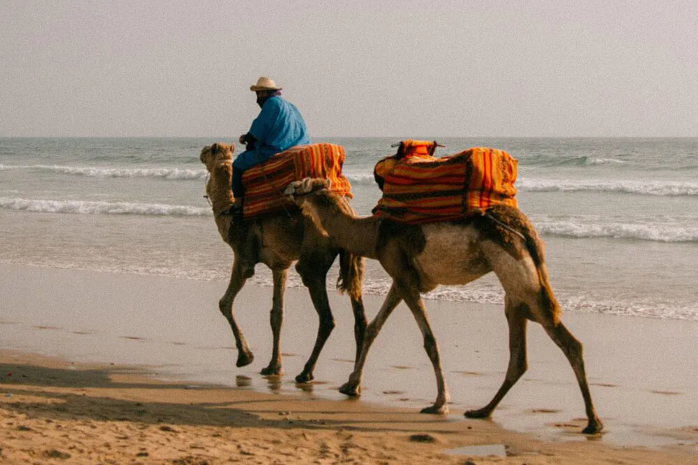 Surf, Fitness & Yoga Week on Morocco's Atlantic Coast