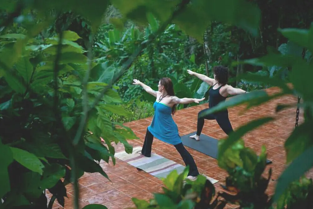 30-Day 200-Hour Yoga Teacher Training in the Costa Rican Rainforest