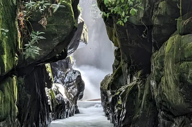 15-Day Mountain Detox and Training Immersion in Valle del Cauca, Colombia