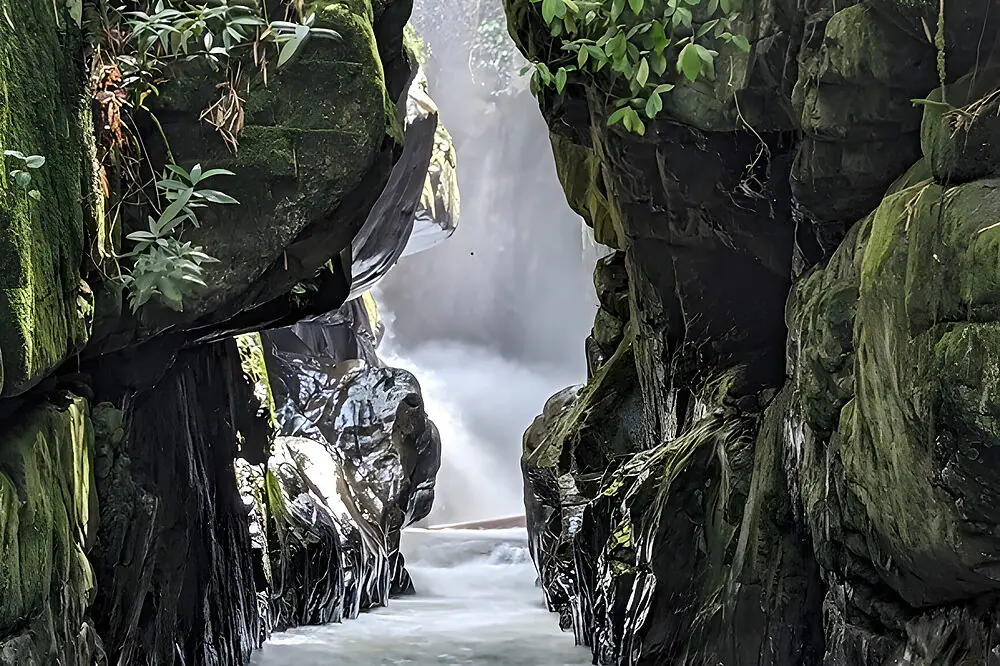 15-Day Mountain Detox and Training Immersion in Colombia's Valle del Cauca