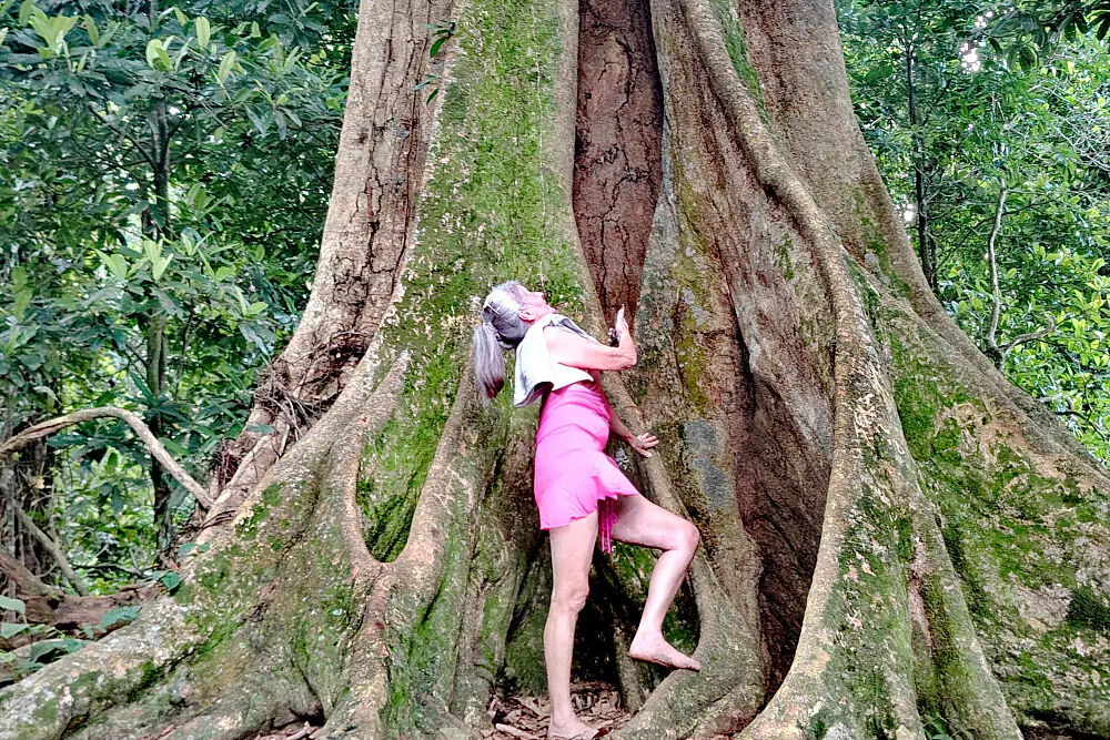 7 Day Private 1:1 Ancestral Yoga Initiation in Costa Rica