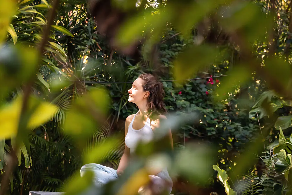 10-Day Digital Detox & Conscious Living Retreat in Tulum's Jungle