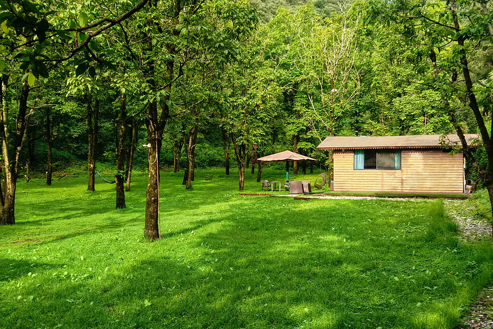 5-Day Himalayan Forest Silence & Digital Detox Retreat